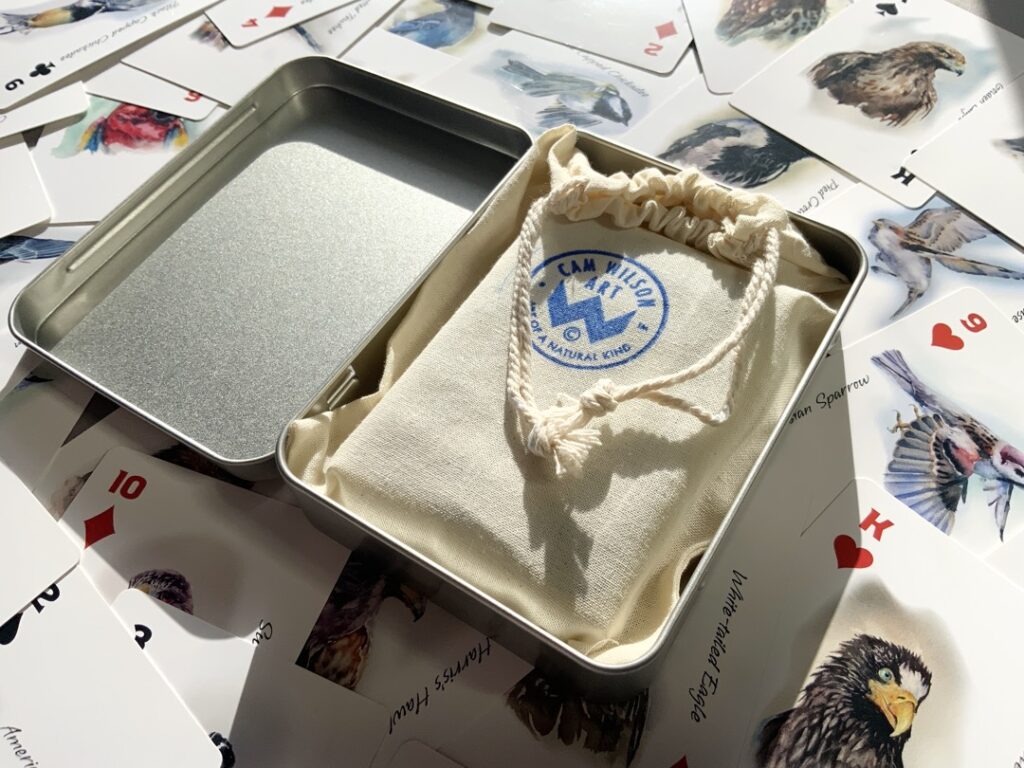 gift case and carrying pouch