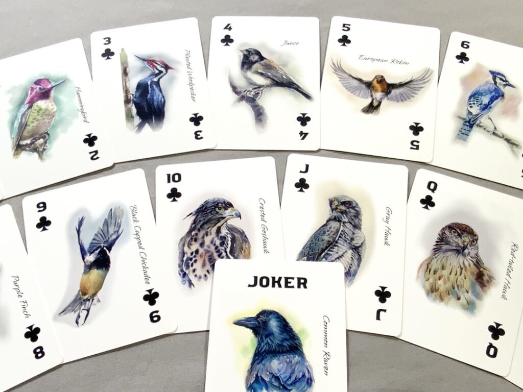 illustrated playing cards  - bird samples
