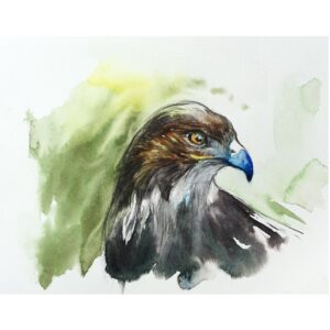 Book of Birds 7 - Archival Print