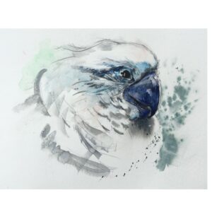 Book of Birds 9 - Archival Print