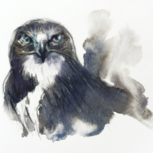 Book of Birds 2 - Archival Print