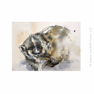 Wildlife Ink - Badger