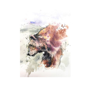 Wildlife Ink - Bear