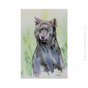 Wildlife Ink - Black Bear Art Print