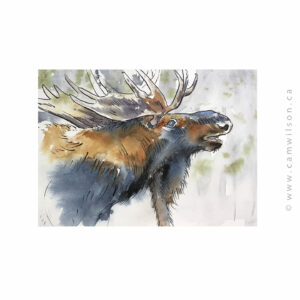 Wildlife Ink - Moose Art Print