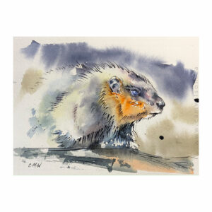 Wildlife Ink - Marmot Art Print
