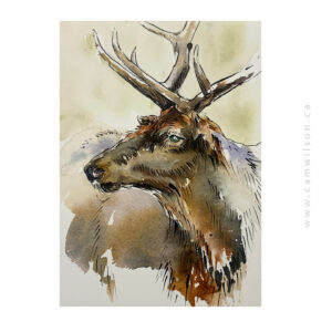 Wildlife Ink - Elk Art Print