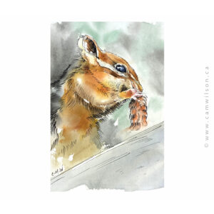 Wildlife Ink - Chipmunk Art Print