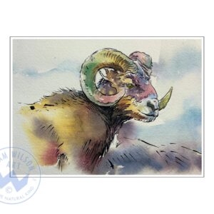 Wildlife Ink - Ram