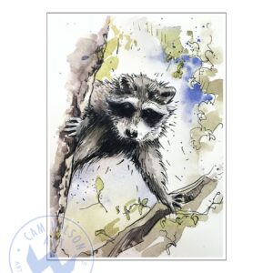 Wildlife Ink - Racoon 2