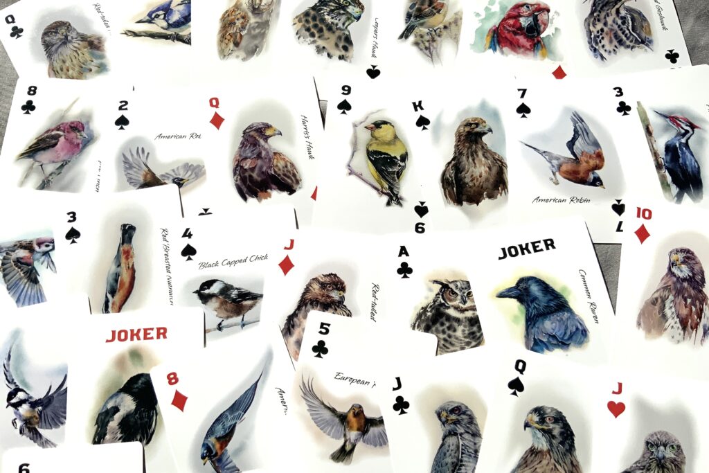 illustrated birds individual cards