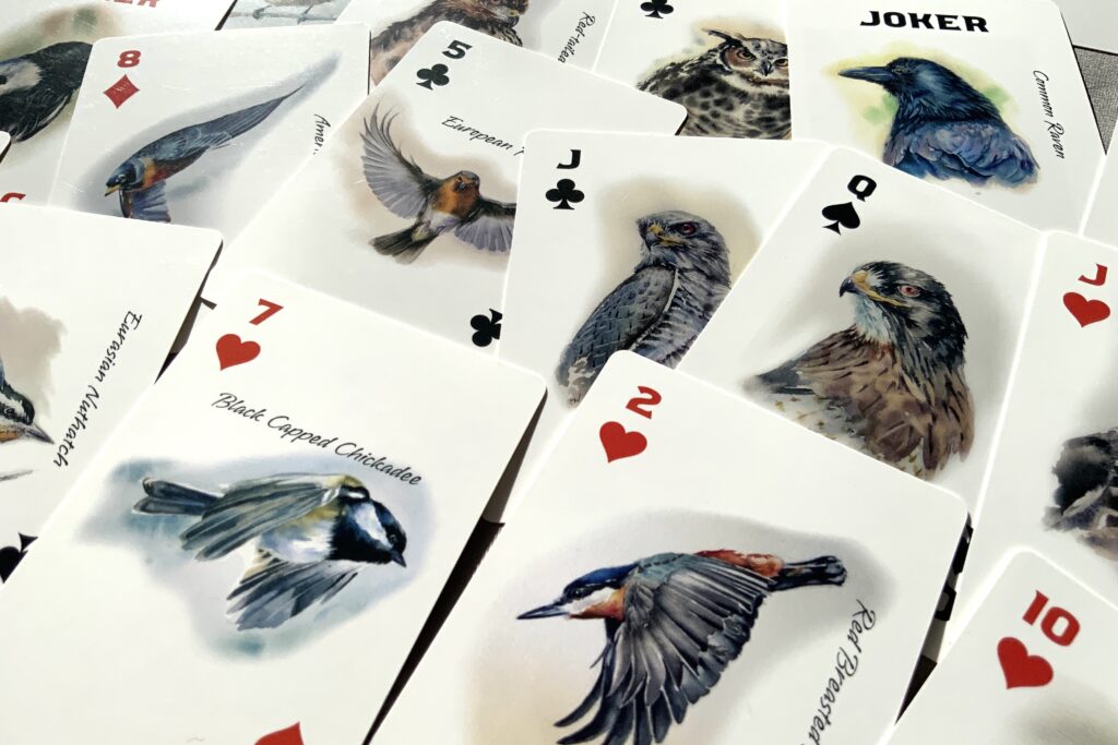 illustrated playing cards  - all cards