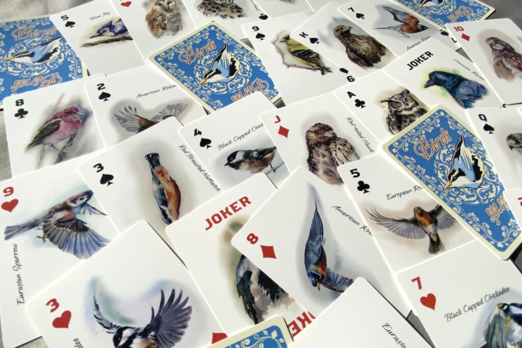 illustrated playing cards  - all cards