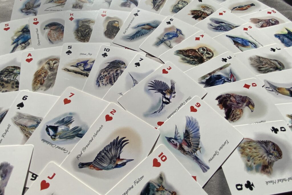 illustrated playing cards  - all cards