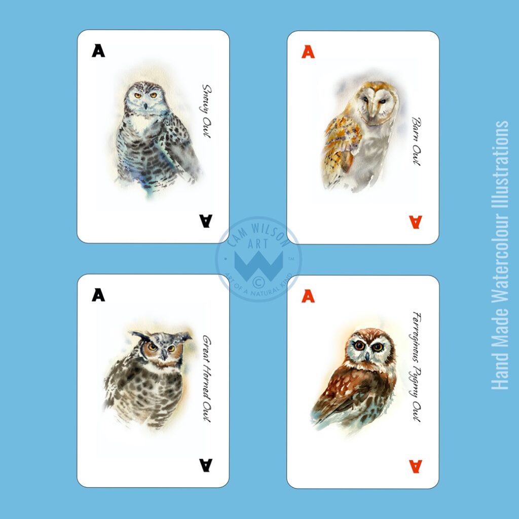 illustrated playing cards aces - owls