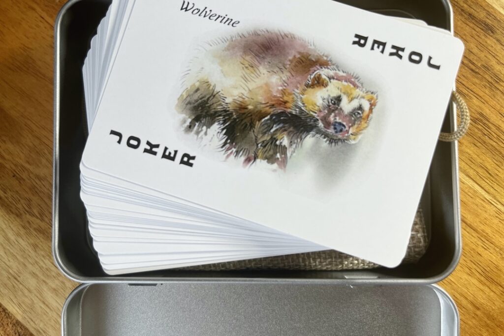 hand illustrated wolverine on the joker playing card