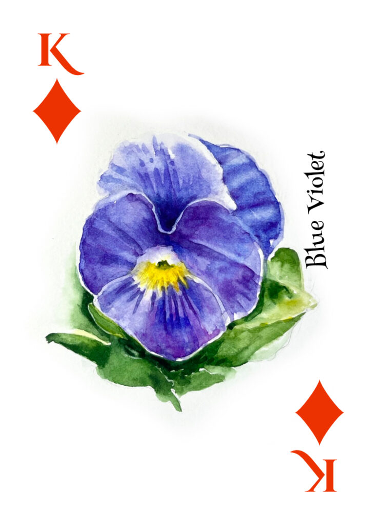 king of diamonds - blue velvet