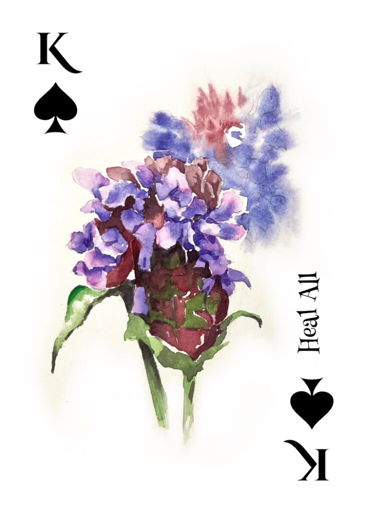 King of Spades - Heal All Wildflower