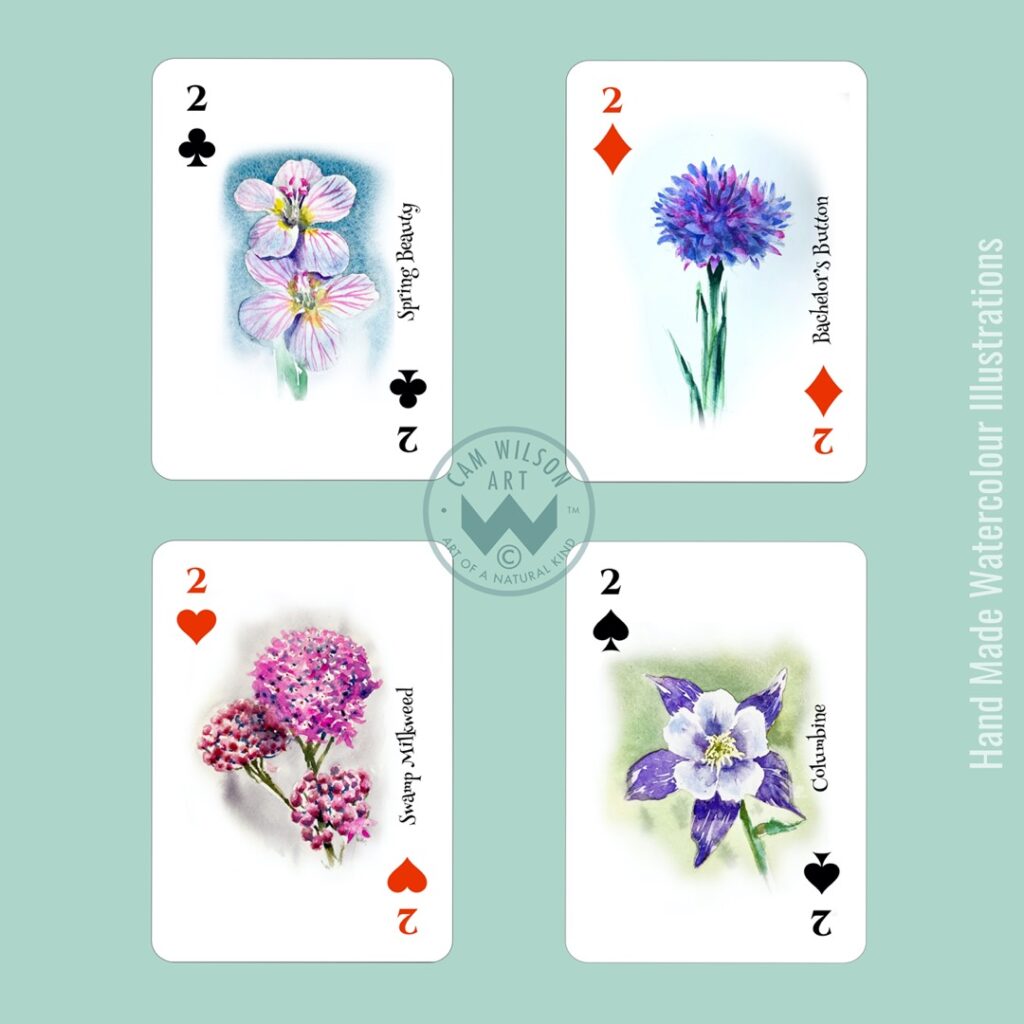 wildflower illustrated playing cards - spring beauty