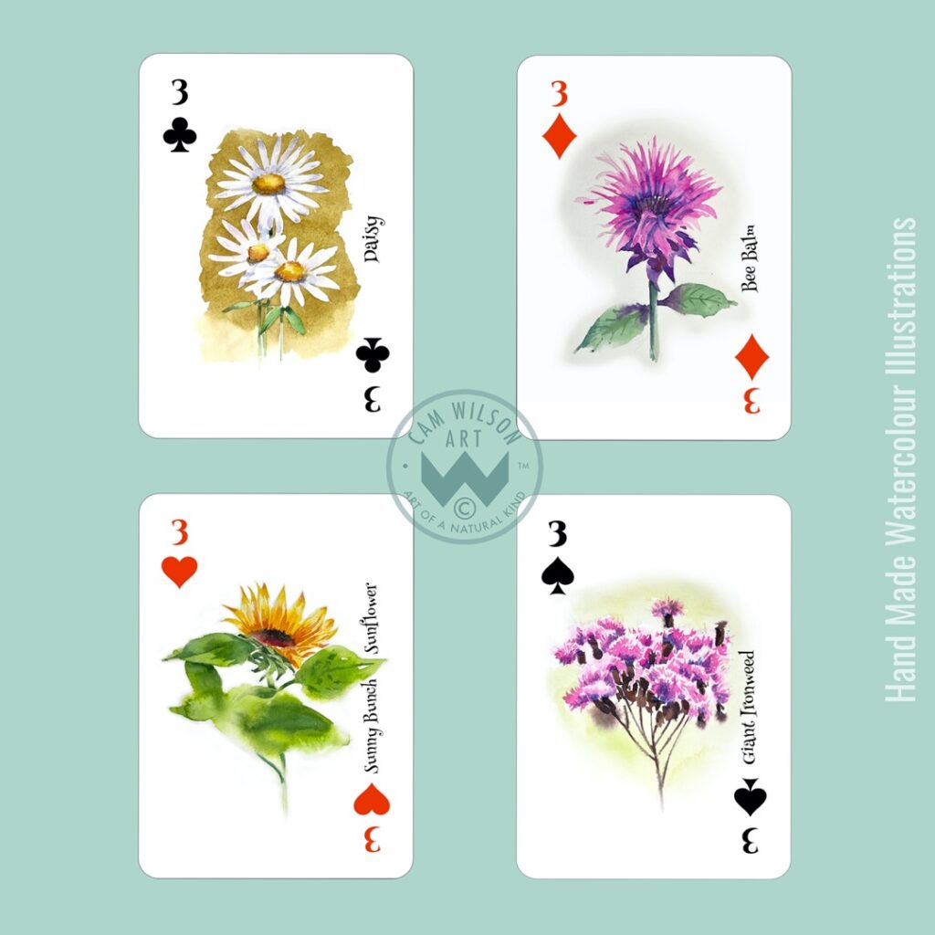 wildflower illustrated playing cards - daisy
