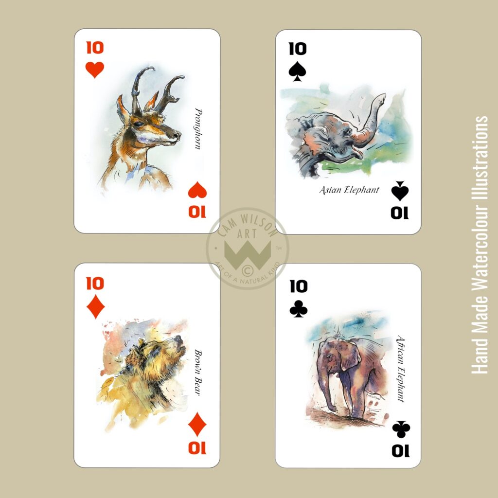 pronghorn