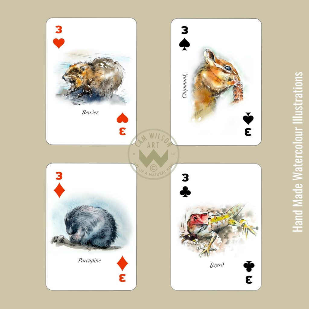beaver