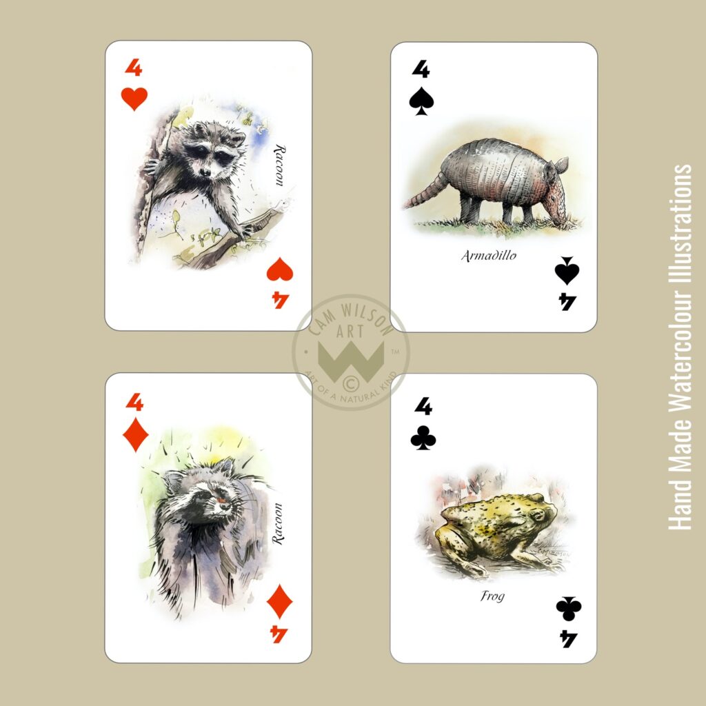 racoon