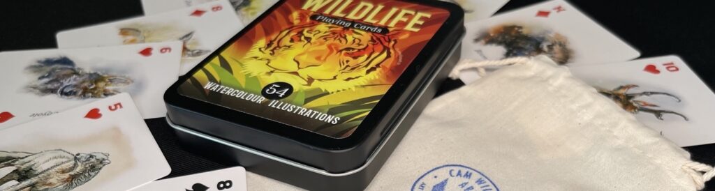 illustrated bird playing card set