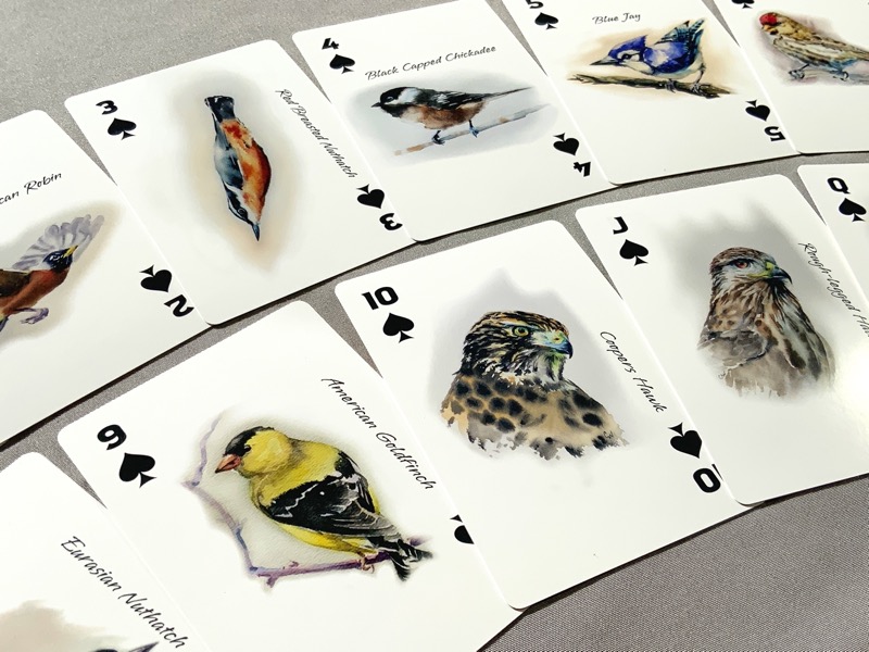 close up of illustrated bird playing cards 